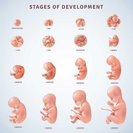 Prenatal Health Checklist: What Every Mom-to-Be Should Know