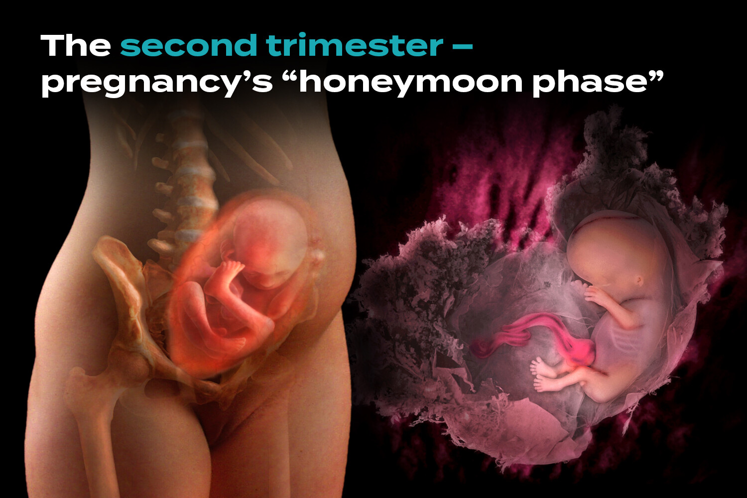 Second Trimester Symptoms: What’s Normal and What’s Not